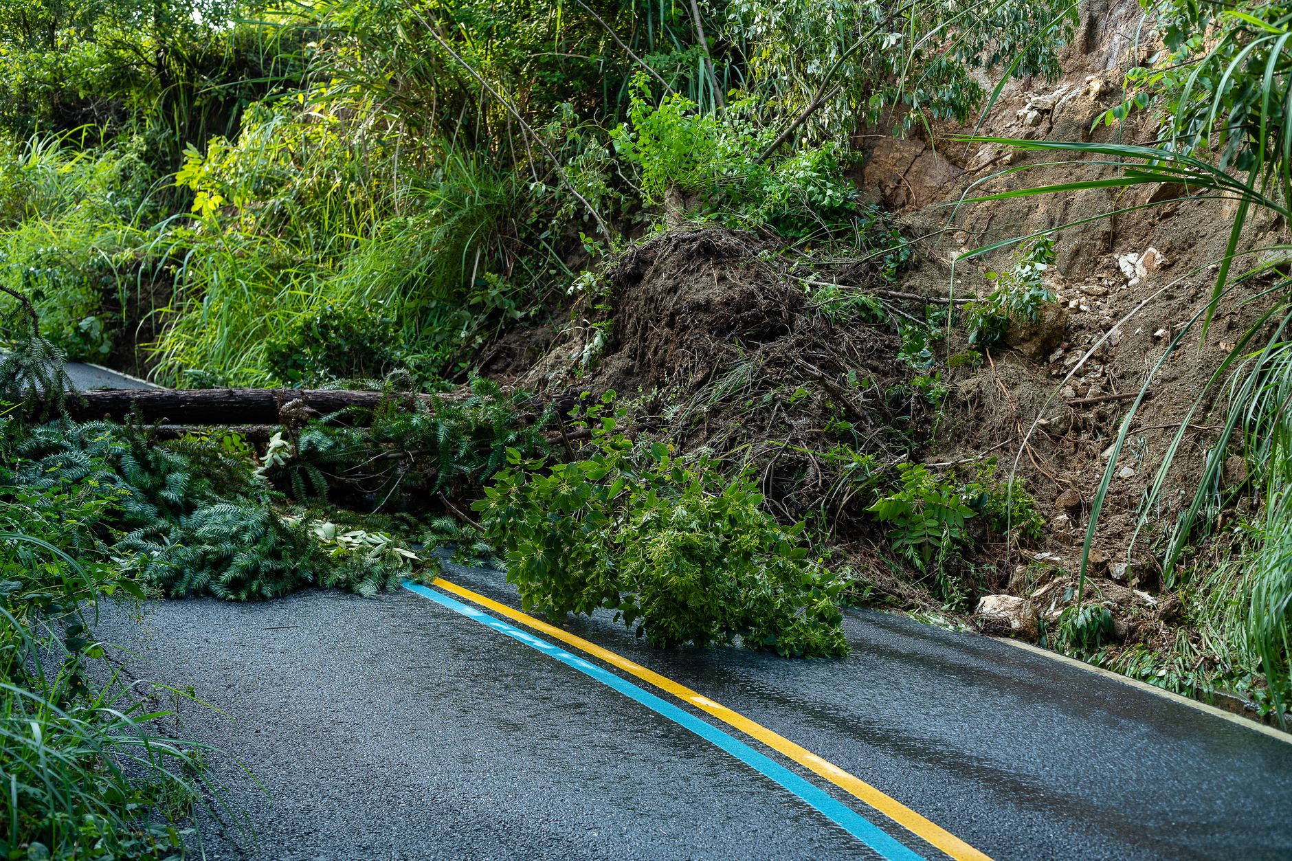 coastal road incident