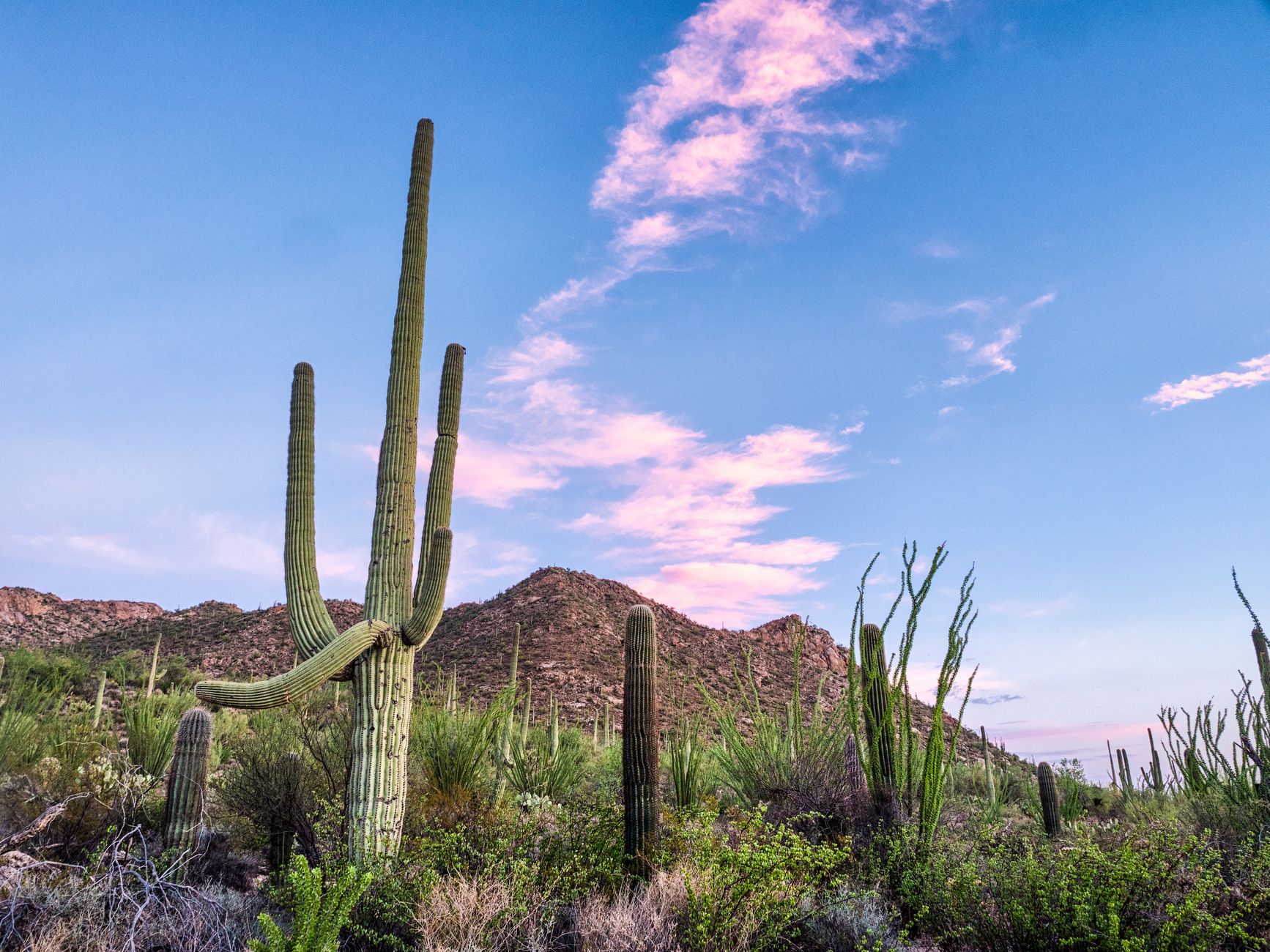 Tucson news recap: What are the best highlights today?